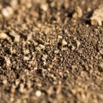 Rocky Soil